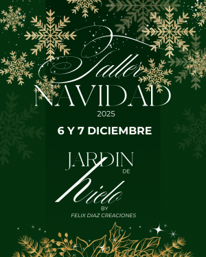 Taller Navideño 2025
