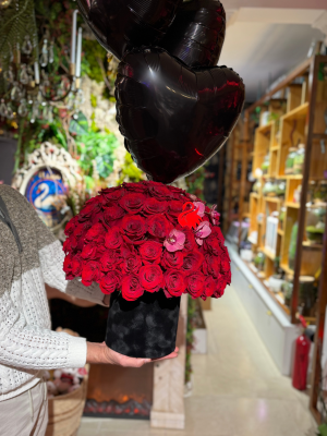 Te elegiría en cada vida