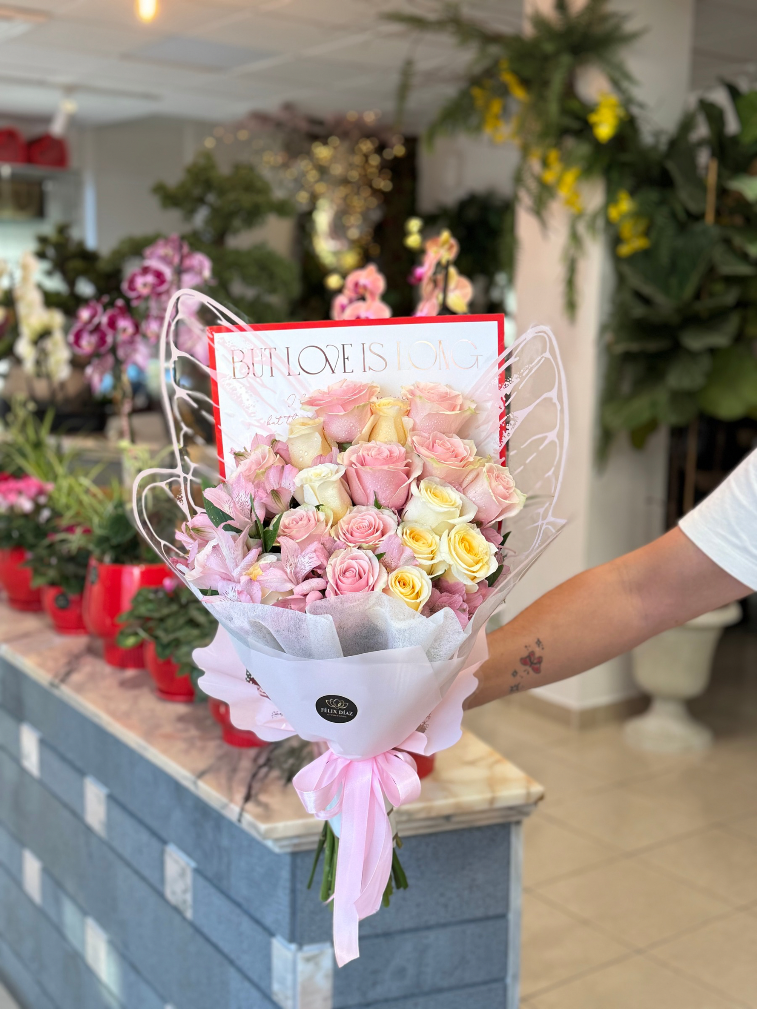 Esplendor - Imagen 2