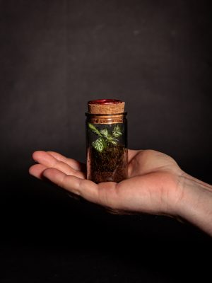 MINI-MUNDO