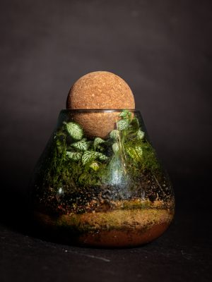 MINI OASIS BALI
