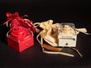 El Viaje de las Mariposas