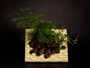 Marco Vegetal Natural PROXIMAMENTE