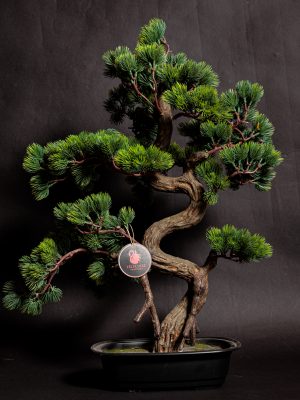 Colección de Plantas Premium Artificiales