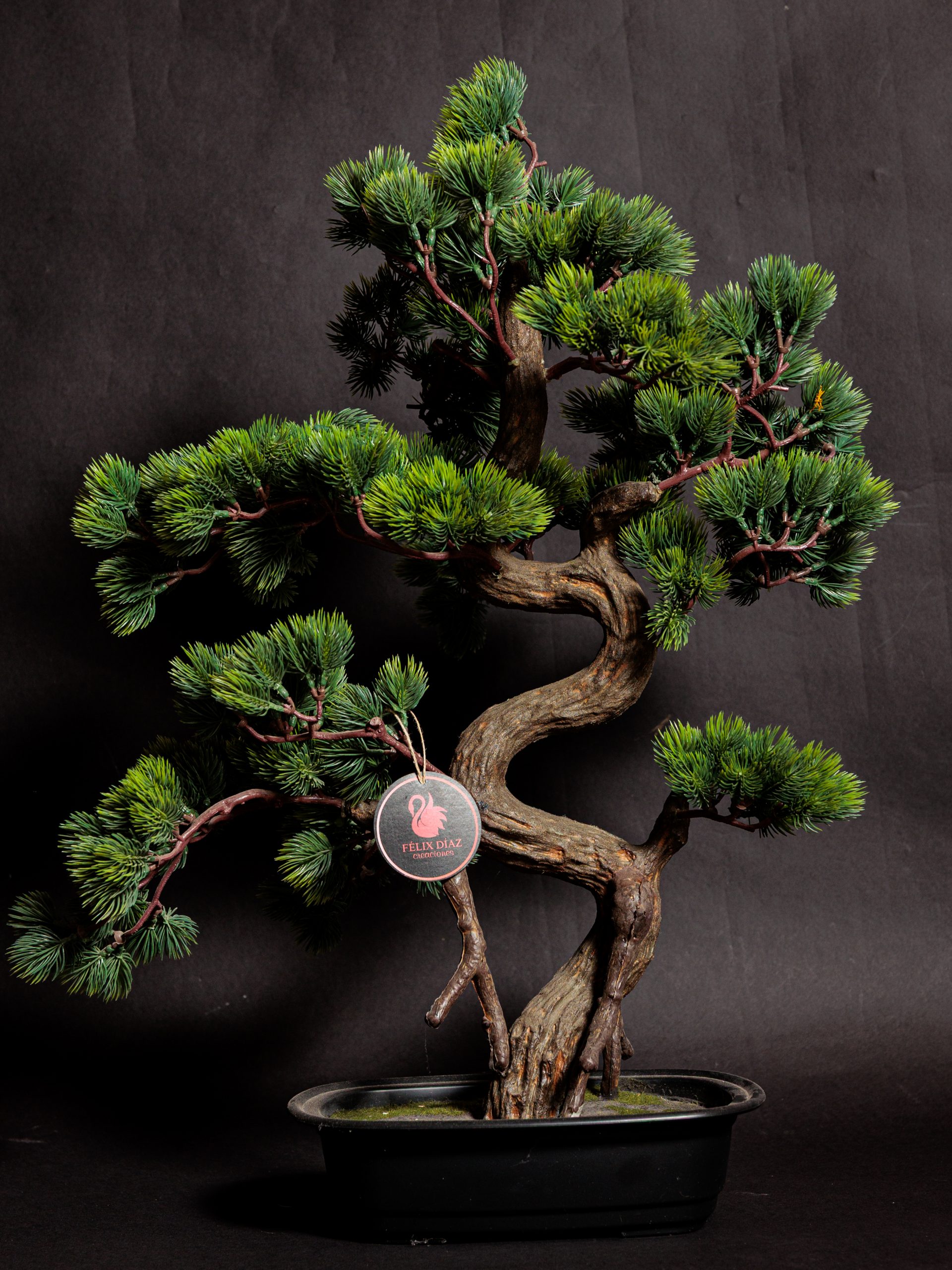 Colección de Plantas Premium Artificiales