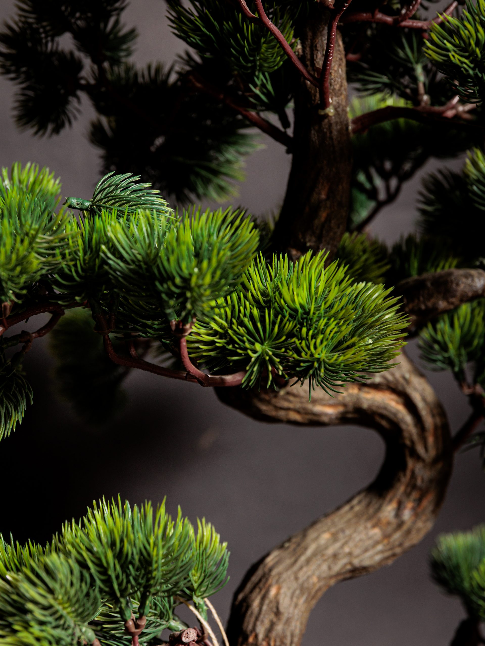 Colección de Plantas Premium Artificiales - Imagen 14
