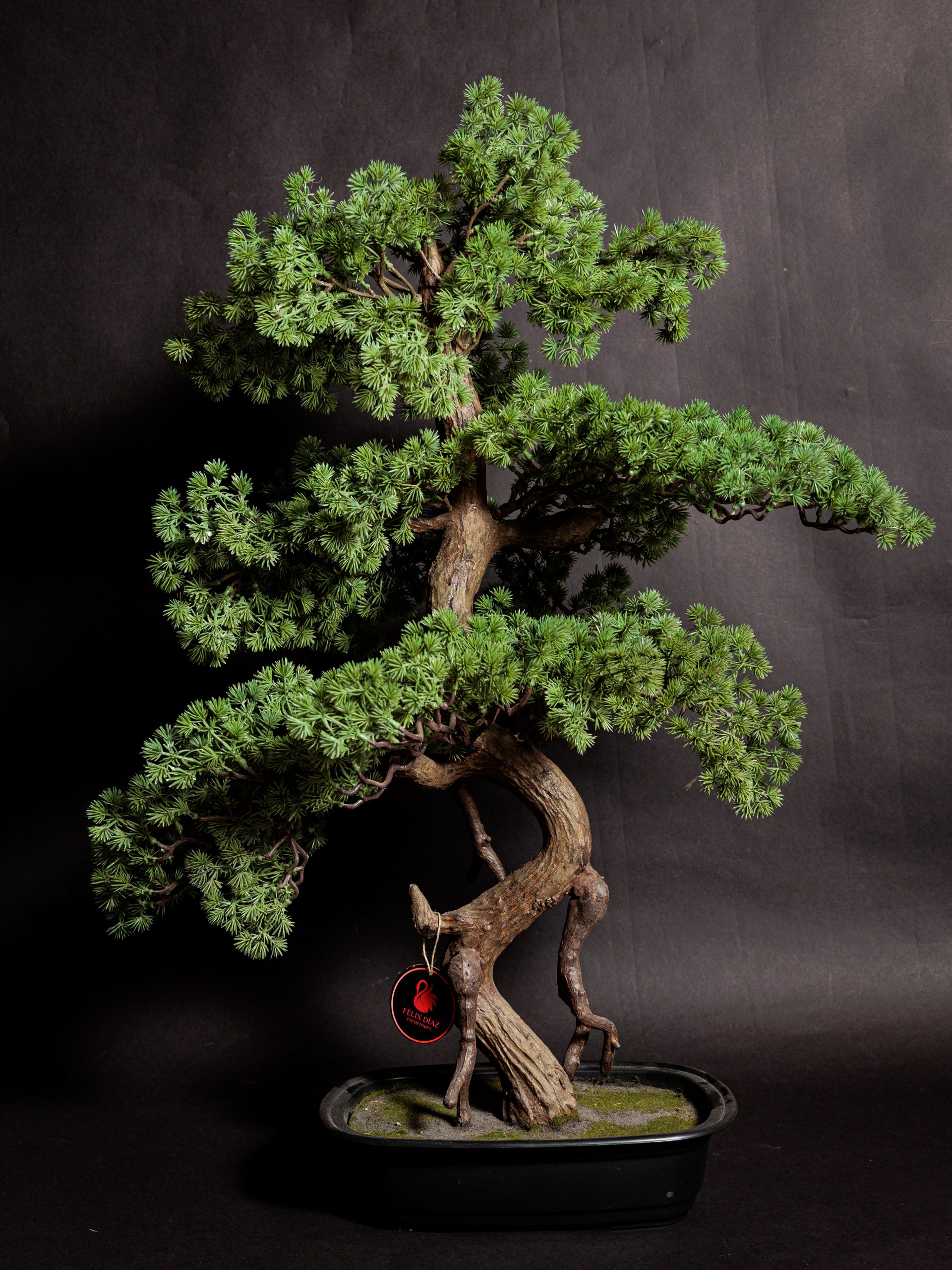 Colección de Plantas Premium Artificiales - Imagen 13
