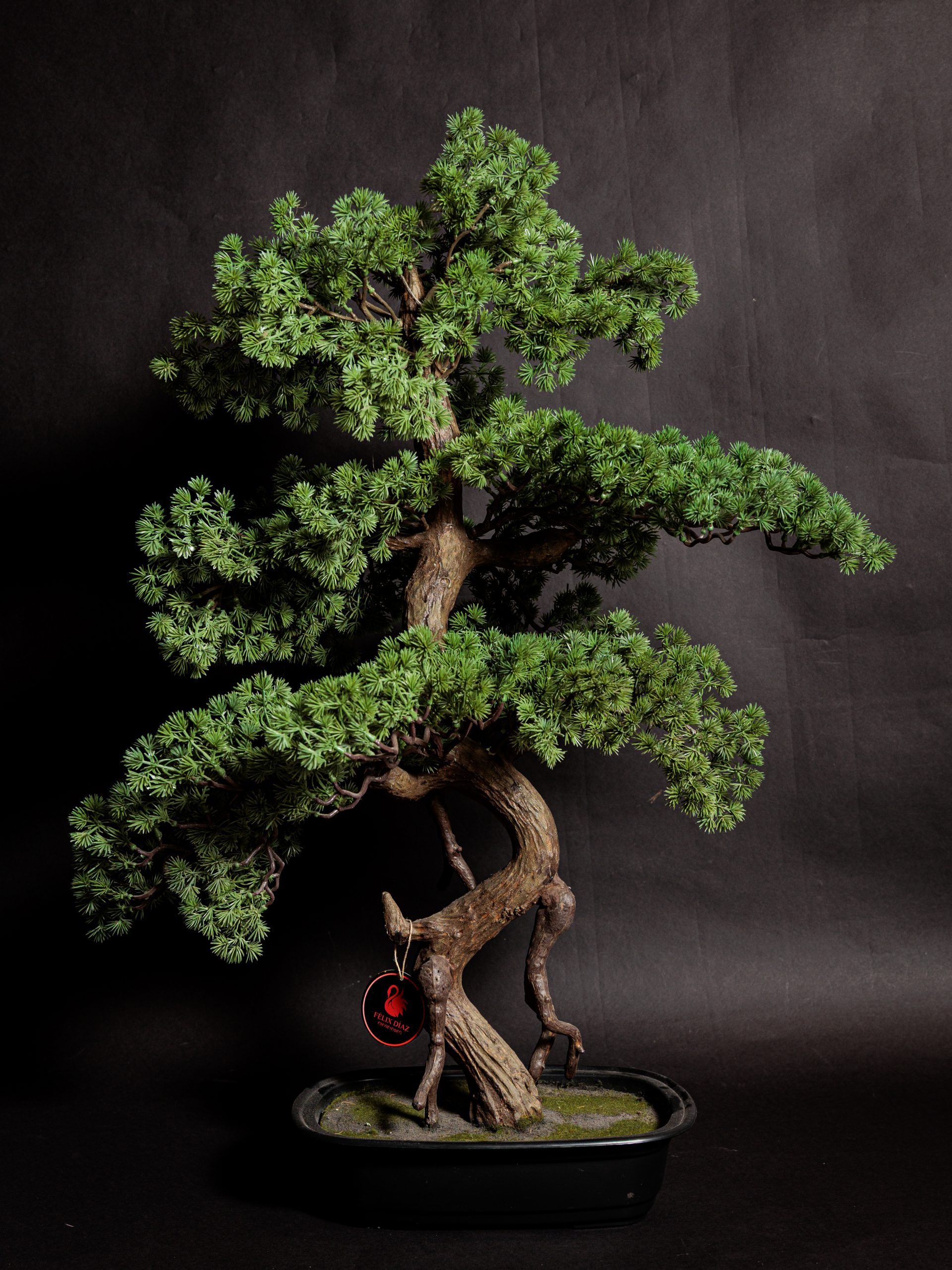 Colección de Plantas Premium Artificiales - Imagen 12
