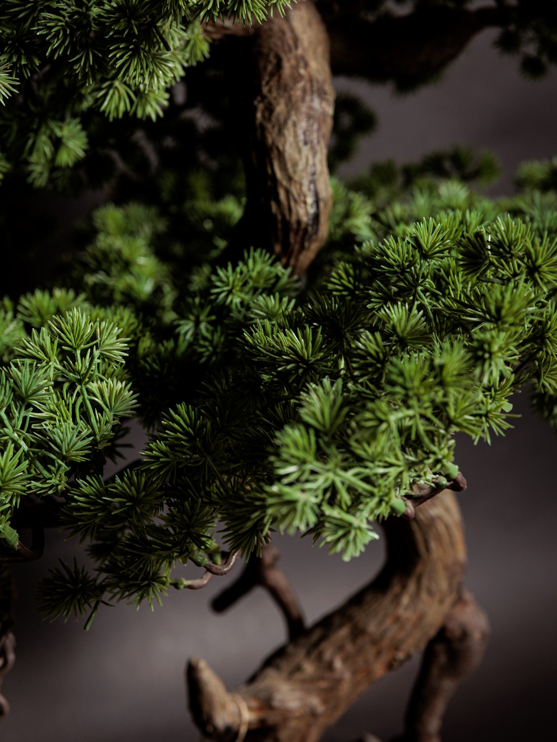 Colección de Plantas Premium Artificiales - Imagen 11