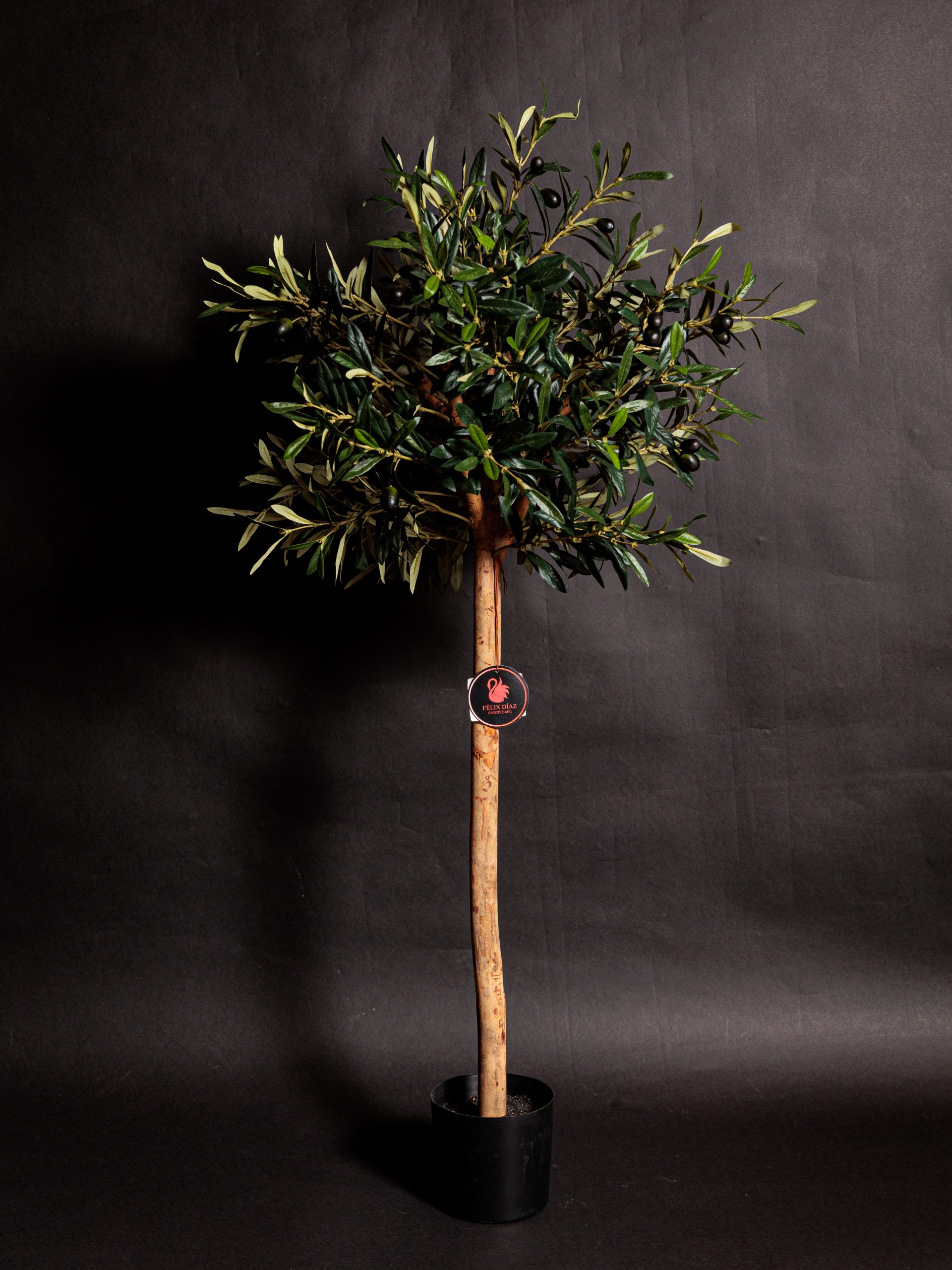 Colección de Plantas Premium Artificiales - Imagen 10