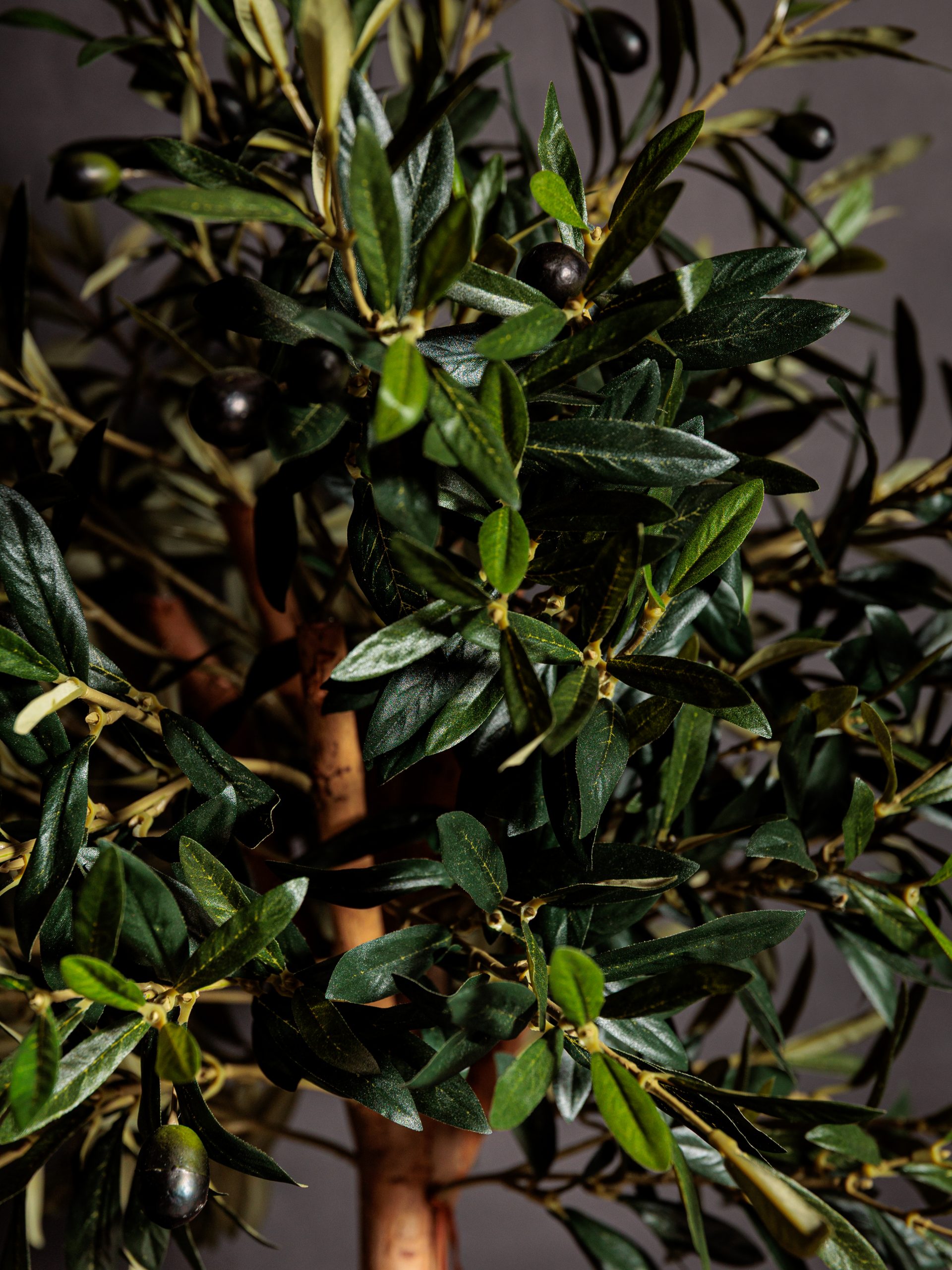 Colección de Plantas Premium Artificiales - Imagen 9