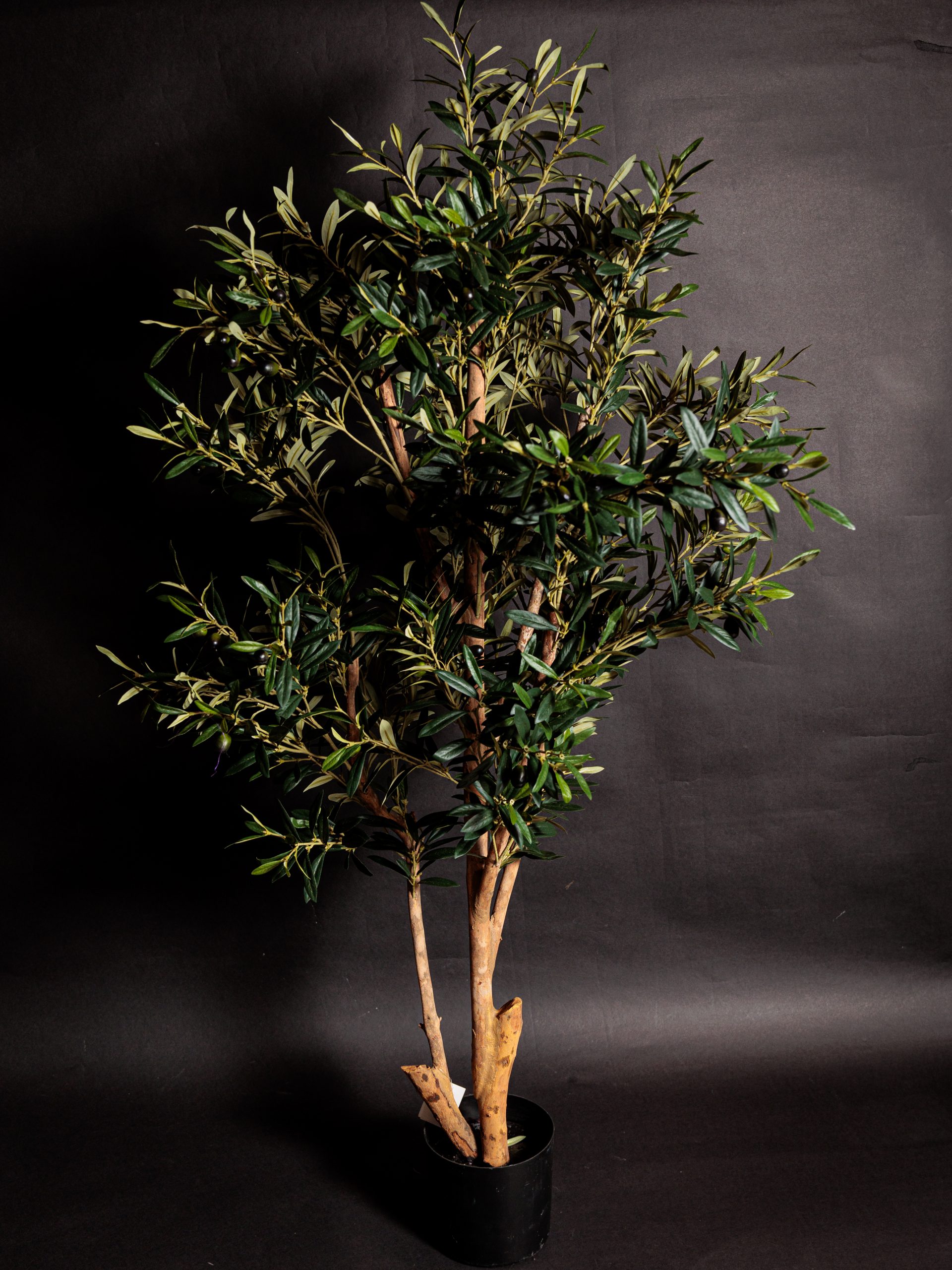 Colección de Plantas Premium Artificiales - Imagen 8