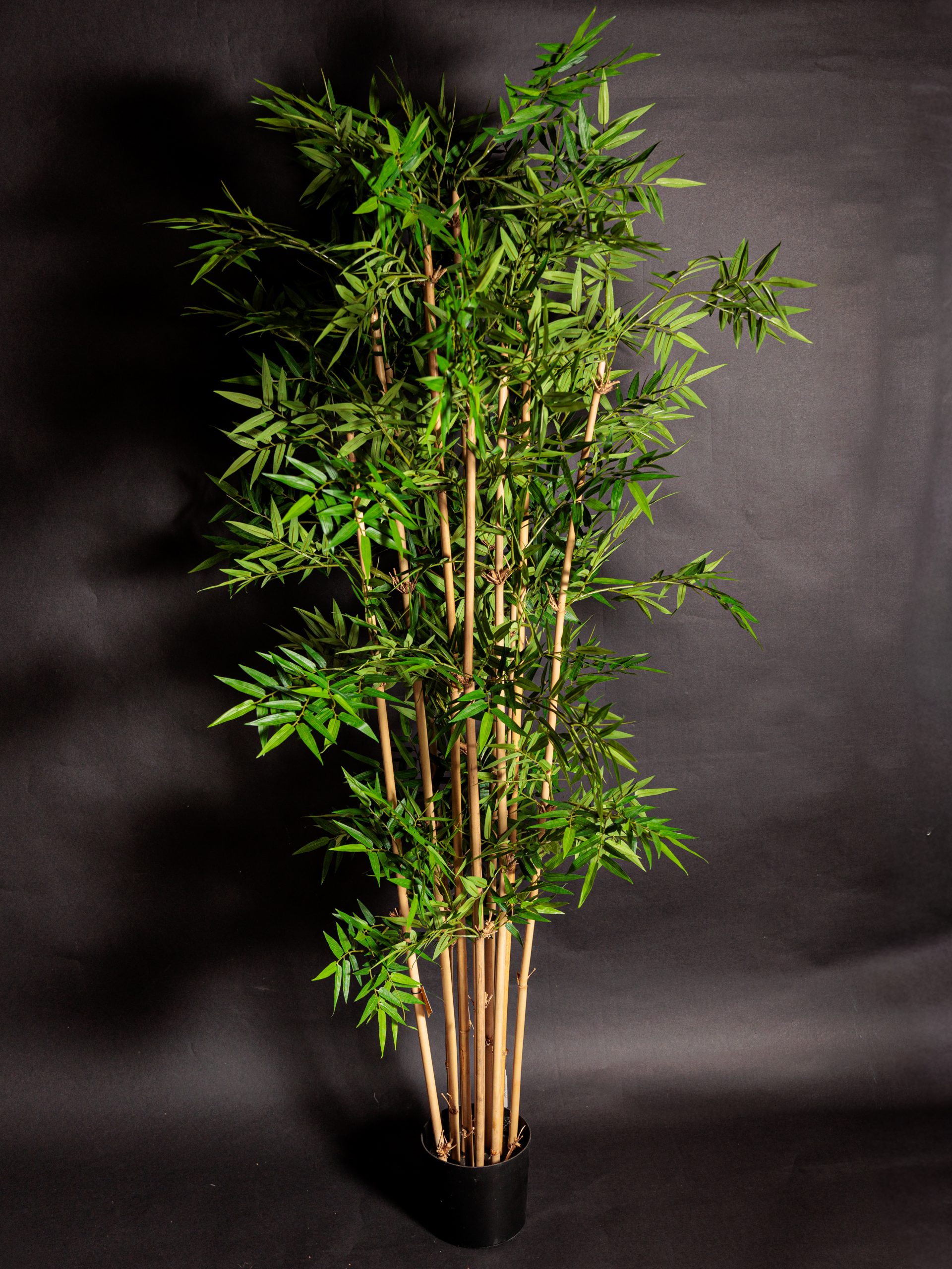 Colección de Plantas Premium Artificiales - Imagen 6