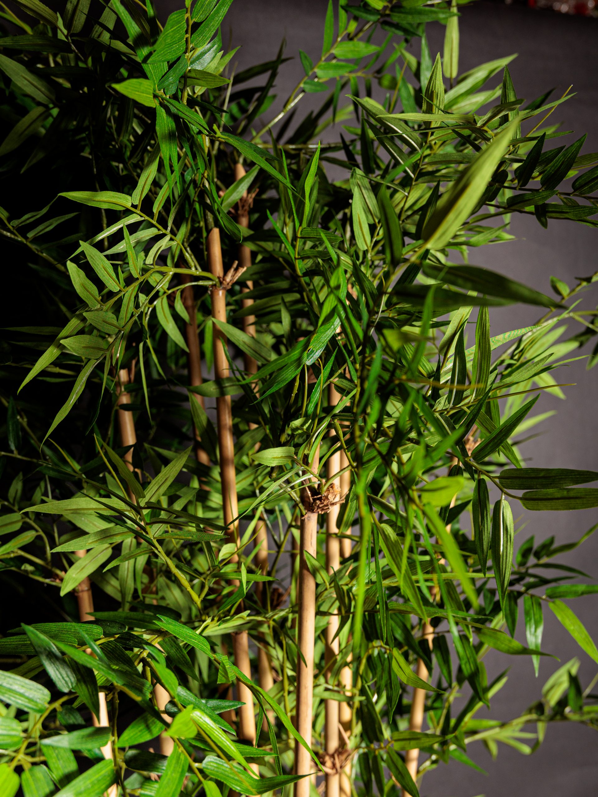 Colección de Plantas Premium Artificiales - Imagen 5
