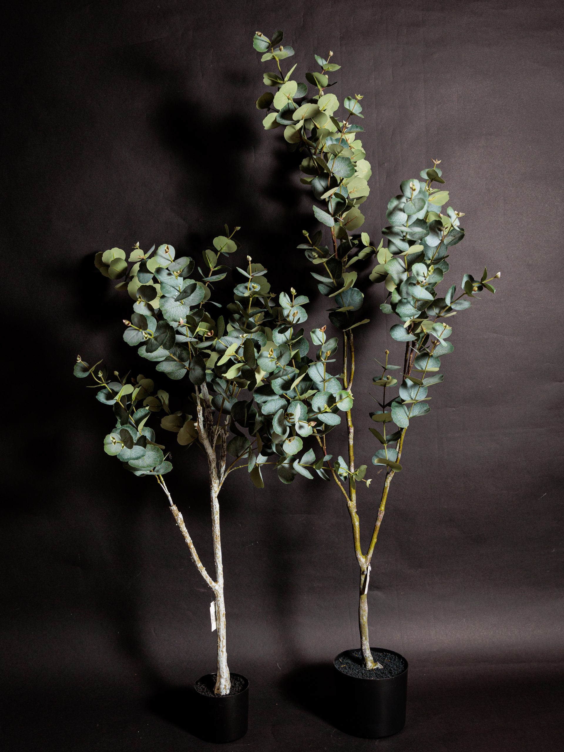 Colección de Plantas Premium Artificiales - Imagen 4