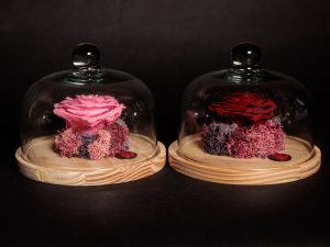 Rosa Preservada Corazón